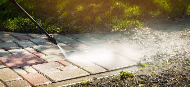 Best Gutter Cleaning  in Cloverleaf, TX